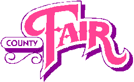 County Fair