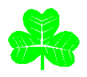 Shamrock