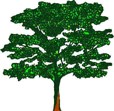 Green tree