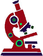 Microscope