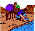 Gold Miner